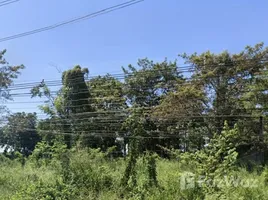  Land for sale in Prachin Buri, Nong Phrong, Si Maha Phot, Prachin Buri