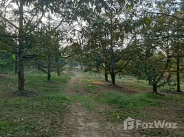 ขายที่ดิน ใน โป่งน้ำร้อน, จันทบุรี, โป่งน้ำร้อน, โป่งน้ำร้อน