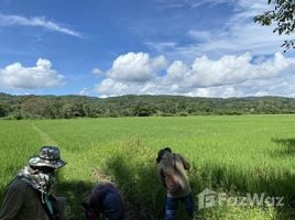  토지을(를) 태국에서 판매합니다., San Pa Yang, Mae Taeng, 치앙마이, 태국