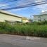  Land for sale in Phra Pradaeng, Samut Prakan, Bang Chak, Phra Pradaeng