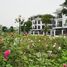 4 chambre Villa for sale in Hoang Mai, Ha Noi, Dinh Cong, Hoang Mai