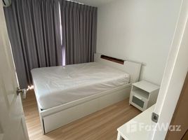 2 Bedroom Apartment for rent at Chateau In Town Sukhumvit 64/1, Bang Chak, Phra Khanong