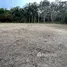  Terreno (Parcela) en venta en Yamu Hills, Pa Khlok, Thalang, Phuket, Tailandia