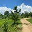  Terrain for sale in Doi Saket, Chiang Mai, Samran Rat, Doi Saket