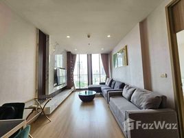 1 Habitación Departamento en alquiler en Noble Ploenchit, Lumphini, Pathum Wan