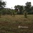  Land for sale in Phuket, Si Sunthon, Thalang, Phuket