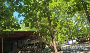 N/A Land for sale in Fai Kaeo, Nan 