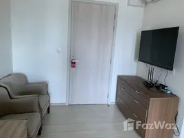 1 Schlafzimmer Appartement zu vermieten im Life Asoke, Bang Kapi