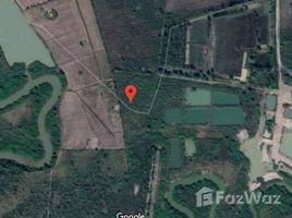  Land for sale in Mueang Nakhon Phanom, Nakhon Phanom, Nong Yat, Mueang Nakhon Phanom