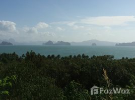 ขายที่ดิน N/A ใน เกาะยาวน้อย, พังงา Ko Yao Bay View Pavilions 5 Rai