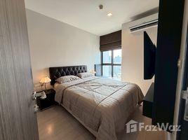 คอนโด 1 ห้องนอน ให้เช่า ในโครงการ ริธึ่ม สุขุมวิท 44/1, พระโขนง