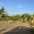  Land for sale in Phuket, Chalong, Phuket Town, Phuket