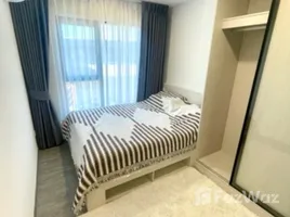 คอนโด 1 ห้องนอน ให้เช่า ในโครงการ เคฟ วันเดอร์แลนด์, คลองหนึ่ง, คลองหลวง, ปทุมธานี