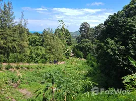  Terreno (Parcela) en venta en Maret, Surat Thani, Maret, Koh Samui, Surat Thani, Tailandia