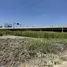  Land for sale in Sao Thong Hin, Nonthaburi, Sao Thong Hin, Bang Yai, Nonthaburi, Thailand