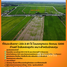  Земельный участок for sale in Bang Khwan, Chachoengsao, Bang Khwan, Mueang Chachoengsao, Chachoengsao