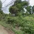  Land for sale in Prachuap Khiri Khan, Ko Lak, Mueang Prachuap Khiri Khan, Prachuap Khiri Khan