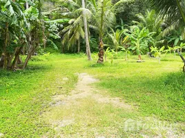 ขายที่ดิน ใน วิชิต, ภูเก็ต, วิชิต, เมืองภูเก็ต