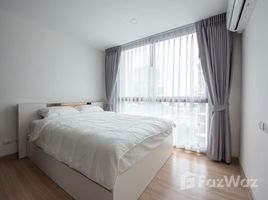 2 Schlafzimmer Appartement zu vermieten im Chateau in Town Sukhumvit 64, Bang Chak