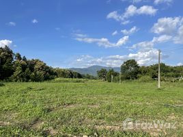 ขายที่ดิน ใน ห้วยทราย, เชียงใหม่, ห้วยทราย