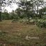  Land for sale in Phuket, Si Sunthon, Thalang, Phuket