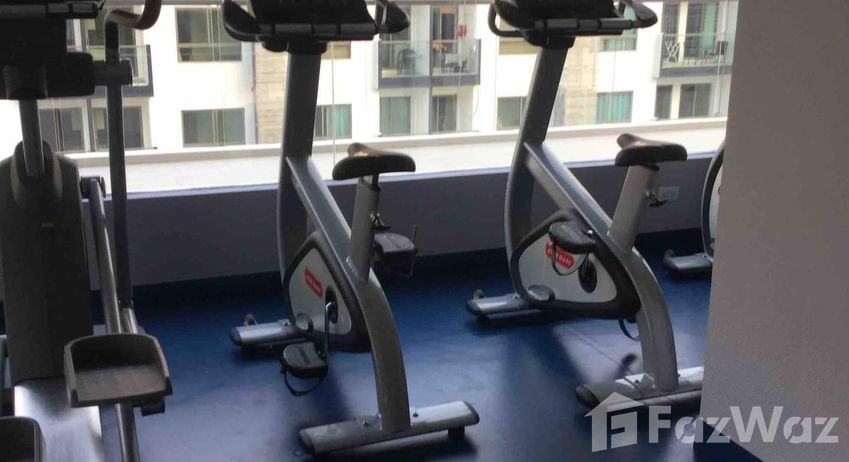Photos 2 of the Communal Gym at Arcadia Beach Resort