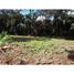  Land for sale in Alajuela, Atenas, Alajuela