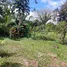  Terrain for sale in Limon, Pococi, Limon