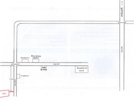  Terreno (Parcela) en venta en Tailandia, Wang Yen, Plaeng Yao, Chachoengsao, Tailandia