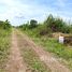  Земельный участок for sale in Na Mai, Патумтани, Na Mai, Lat Lum Kaeo, Патумтани, Таиланд