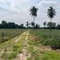  Land for sale in Cha-Am, Phetchaburi, Cha-Am