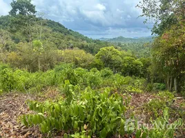 ขายที่ดิน ใน ตลิ่งงาม, สุราษฎร์ธานี, ตลิ่งงาม, เกาะสมุย