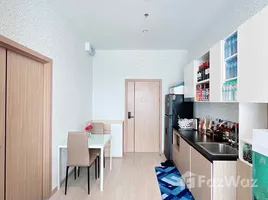 1 Bedroom Condo for rent at Plus Condo Hatyai, Hat Yai, Hat Yai, Songkhla, Thailand