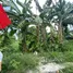  Terreno (Parcela) en venta en Greenwoods Executive Village Cainta, Cainta, Rizal