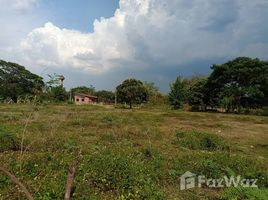  Grundstück zu verkaufen in San Pa Tong, Chiang Mai, Yu Wa, San Pa Tong