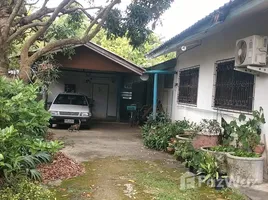 ขายบ้านเดี่ยว 3 ห้องนอน ใน ห้วยไคร้, เชียงราย, ห้วยไคร้, แม่สาย, เชียงราย, ไทย