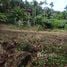 Land for sale in Phuket, Kathu, Kathu, Phuket
