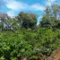 Terrain à vendre à San Rafael, Heredia, San Rafael, Heredia