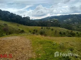  Terrain for sale in Antioquia, Medellin, Antioquia