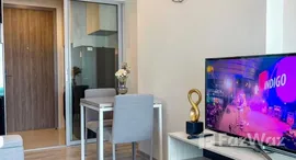 ยูนิตมือสองและให้เช่า