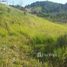  Terreno (Parcela) en venta en Fernando De Noronha, Rio Grande do Norte, Fernando De Noronha, Fernando De Noronha