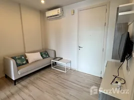 Studio Penthouse for rent at Sunway Cassia (Ph3) - 2-Storey Semi D, Bayan Lepas, Barat Daya Southwest Penang