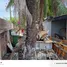  Terreno (Parcela) en venta en Accra, Greater Accra, Accra, Greater Accra