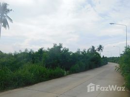 N/A Land for sale in Phla, Rayong Cheap Land in Ban Chang near U Tapao Airport