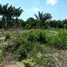  Terrain for sale in Rio Preto Da Eva, Amazonas, Rio Preto Da Eva