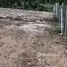  Land for sale in Hin Lek Fai, Hua Hin, Hin Lek Fai