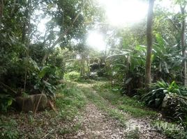  Land for sale in Costa Rica, Escazu, San Jose, Costa Rica