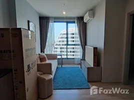 1 Schlafzimmer Appartement zu vermieten im Ideo Mobi Sukhumvit East Point, Bang Na, Bang Na, Bangkok, Thailand