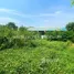  Land for sale in Tha Sai, Nonthaburi, Tha Sai, Mueang Nonthaburi, Nonthaburi