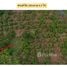  Land for sale in Thailand, Mae O, Phan, Chiang Rai, Thailand